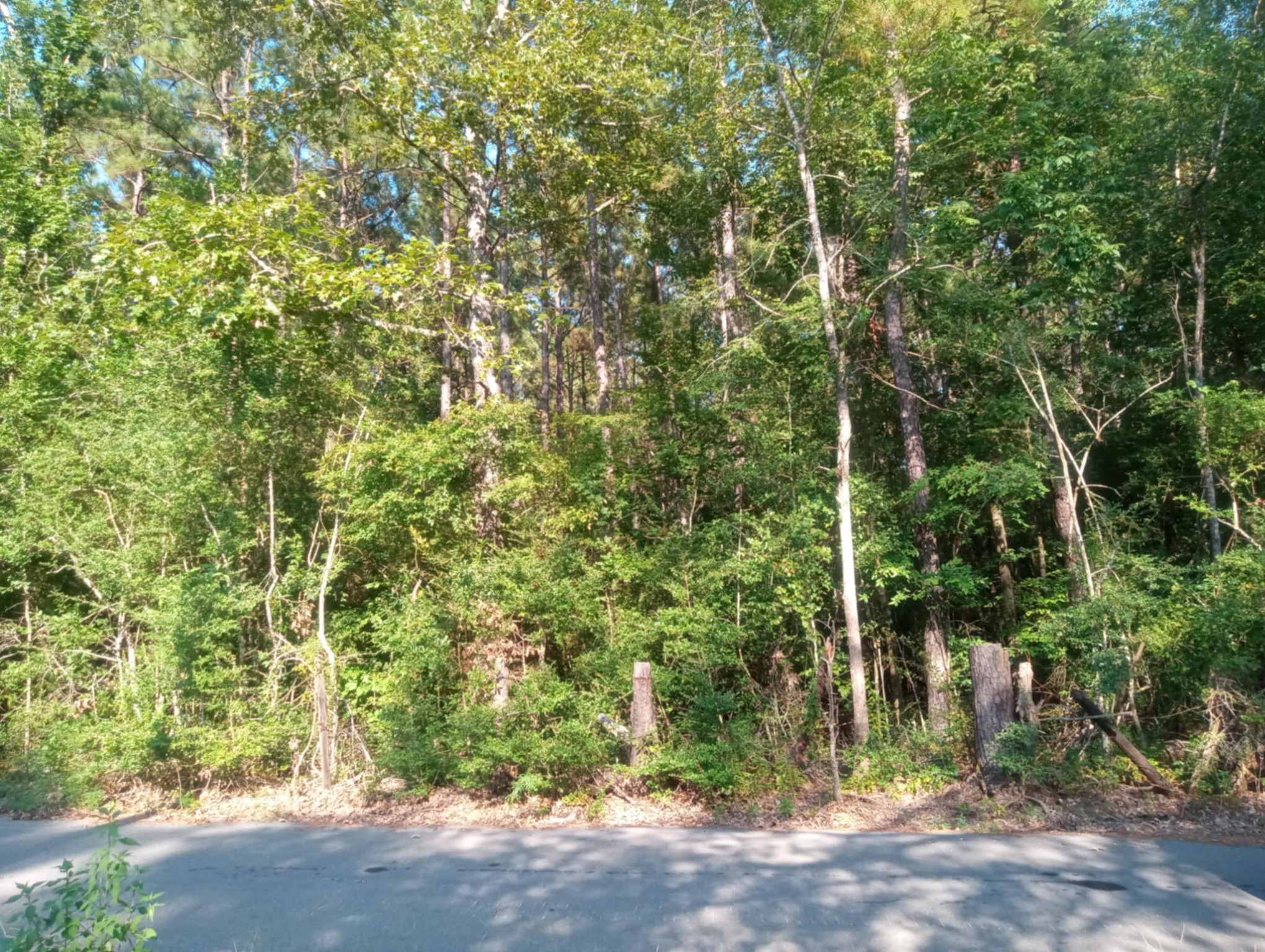 0 Piney Lane Property Photo 6