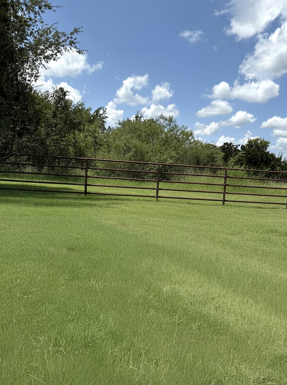 20729 County Road 124 Property Photo 3