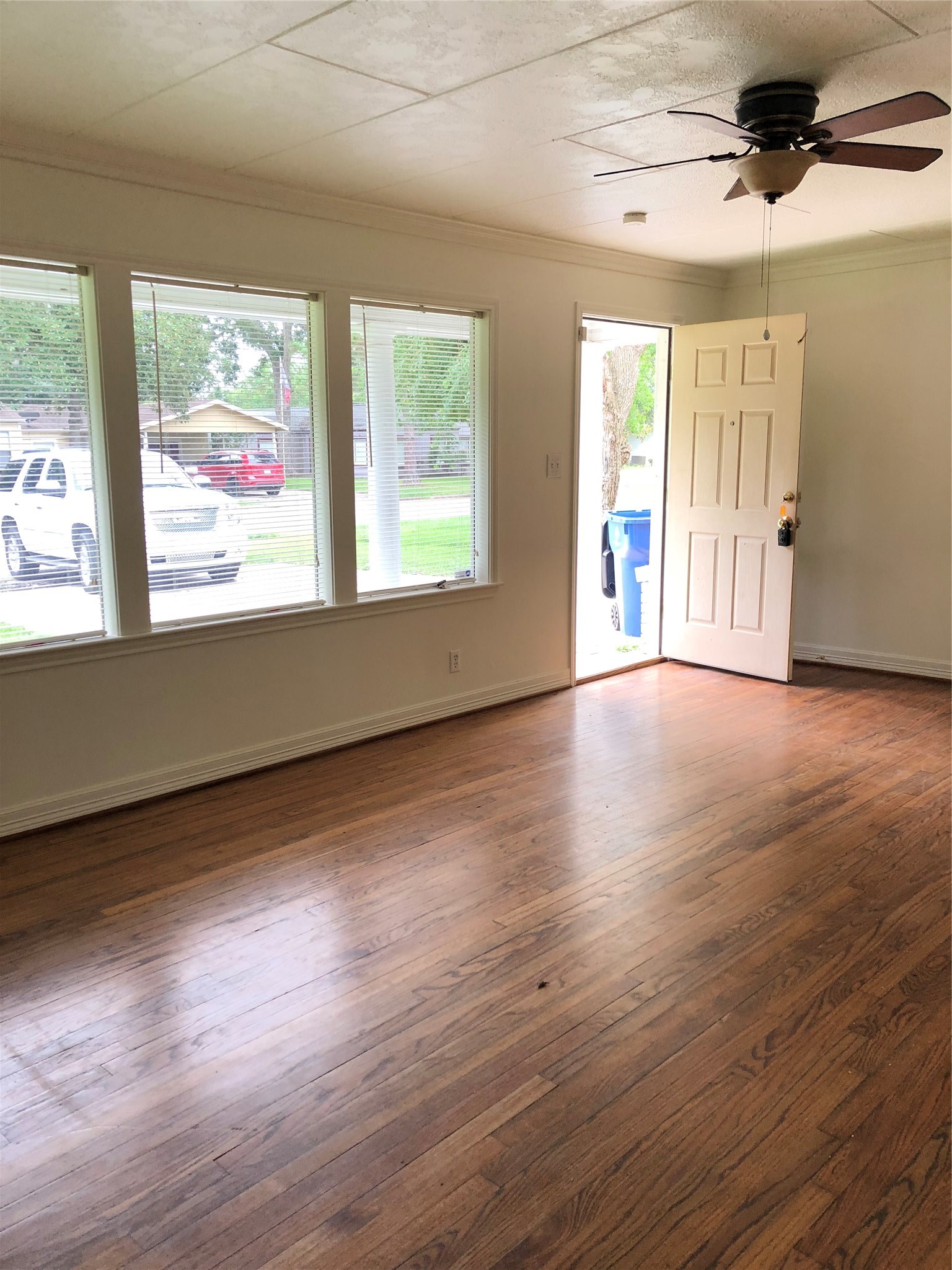 1113 E Miller Street Property Photo 4