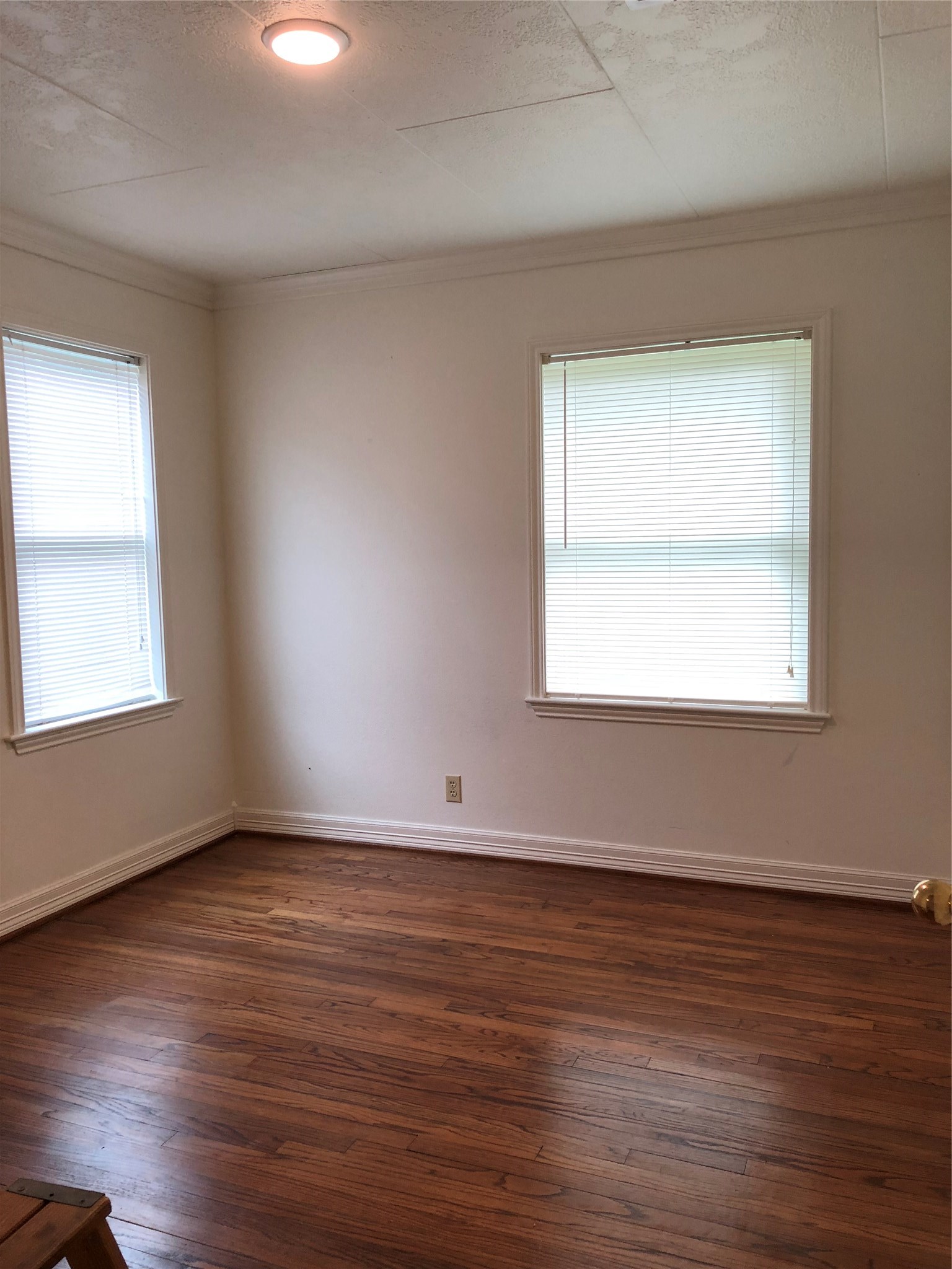 1113 E Miller Street Property Photo 7