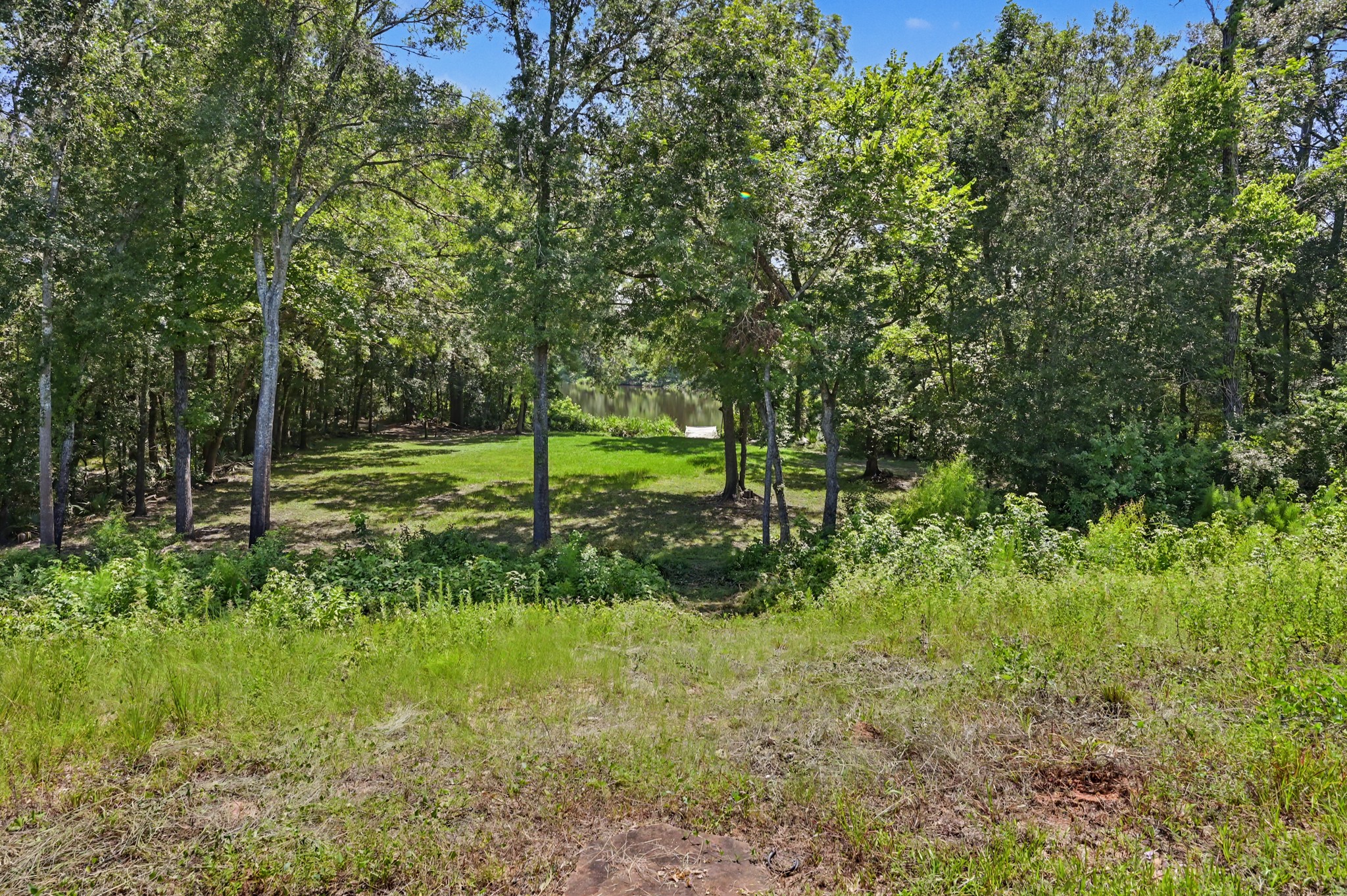 250 Torrey Bloom Loop Property Photo 41
