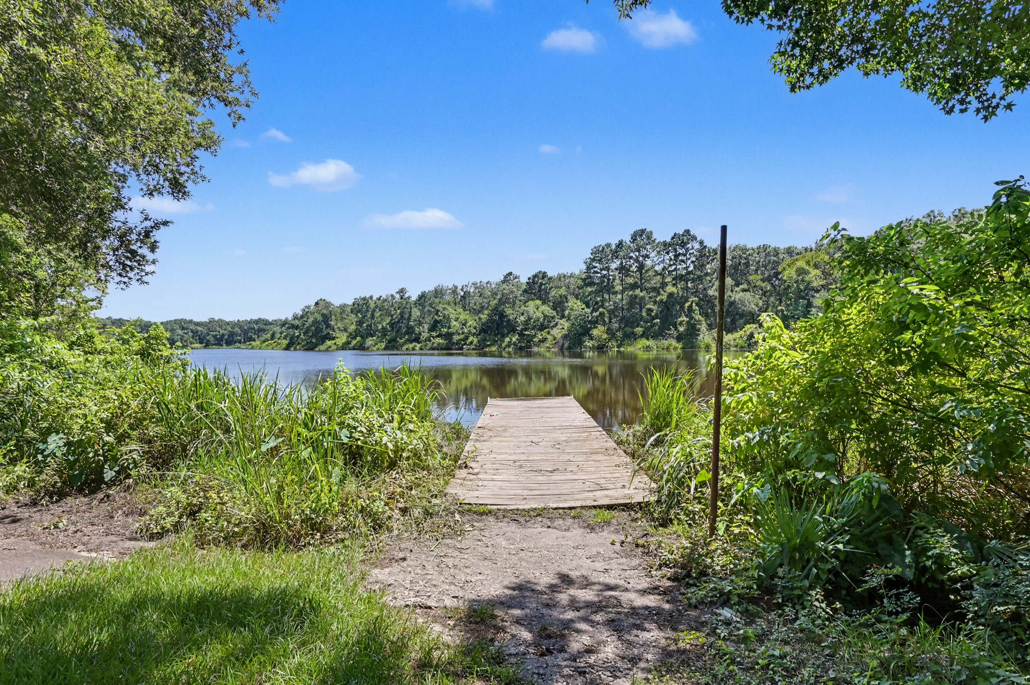 250 Torrey Bloom Loop Property Photo 42