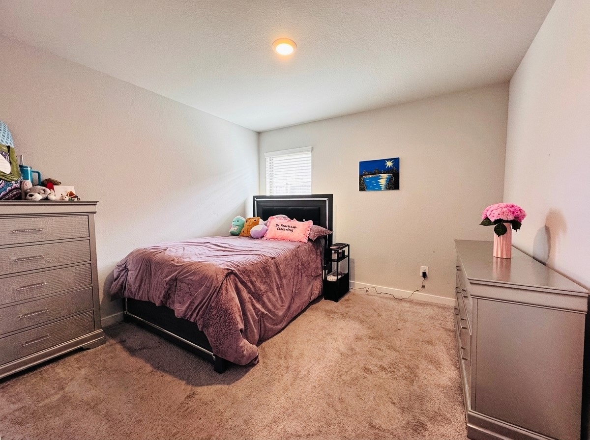 4603 Presario Drive Property Photo 29