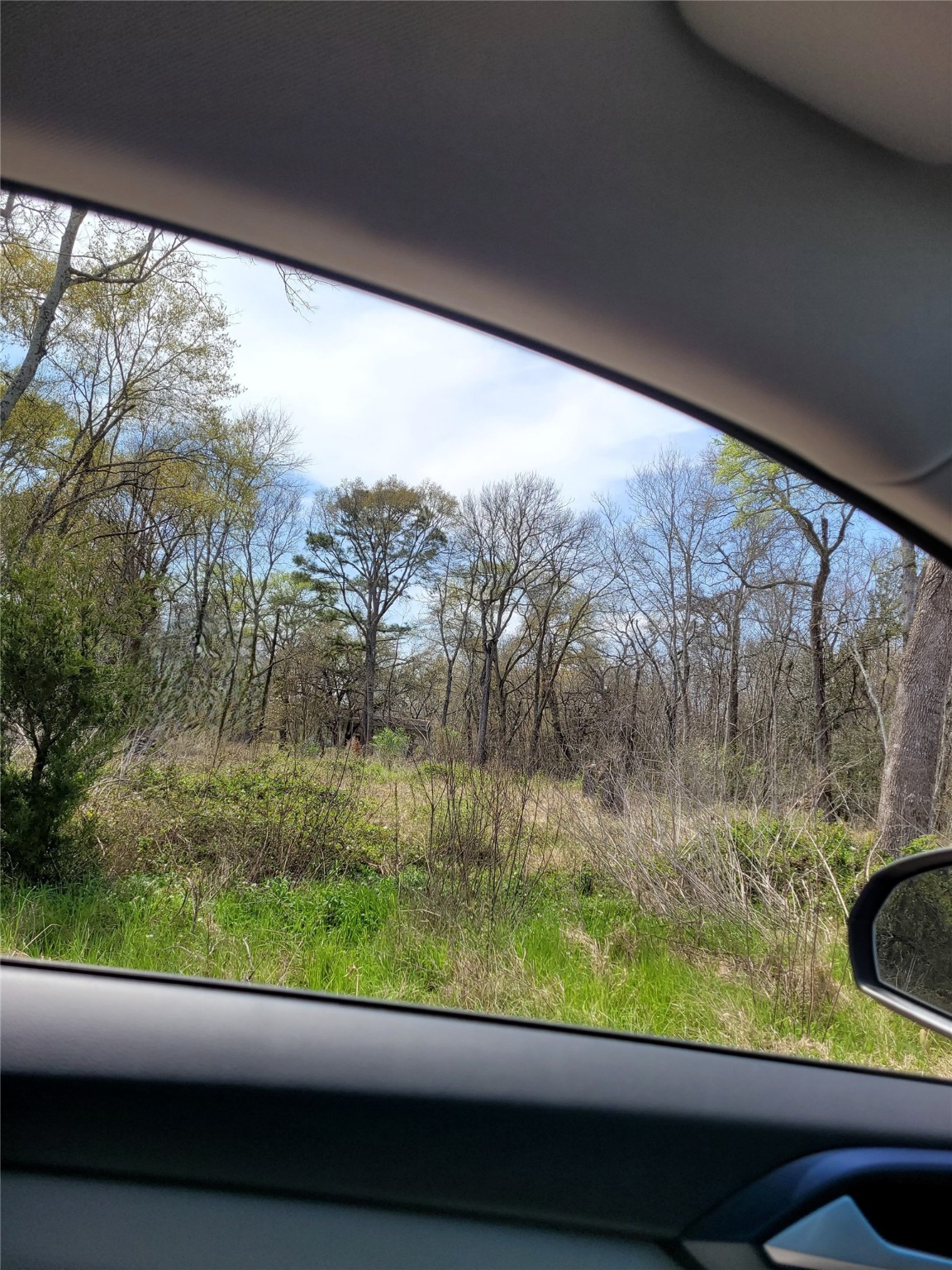 20310 Spruce Forest Drive Property Photo 1