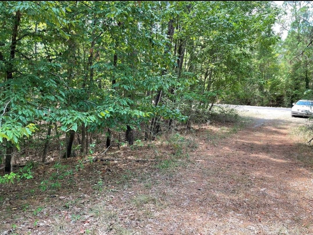 Tbd Hickory Circle Property Photo 2