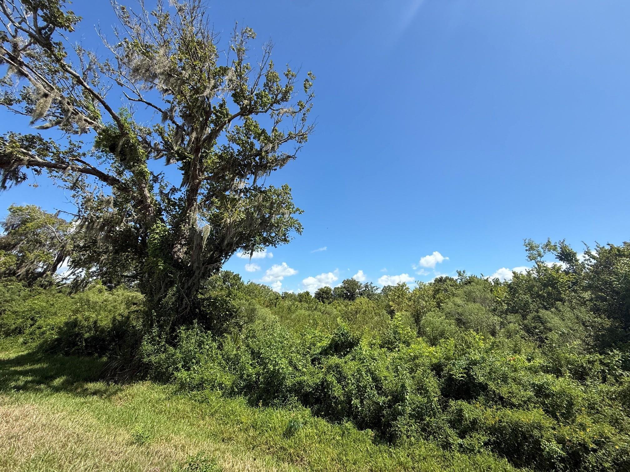 2 Cr-316, Brazoria Tx 77422 Property Photo 3