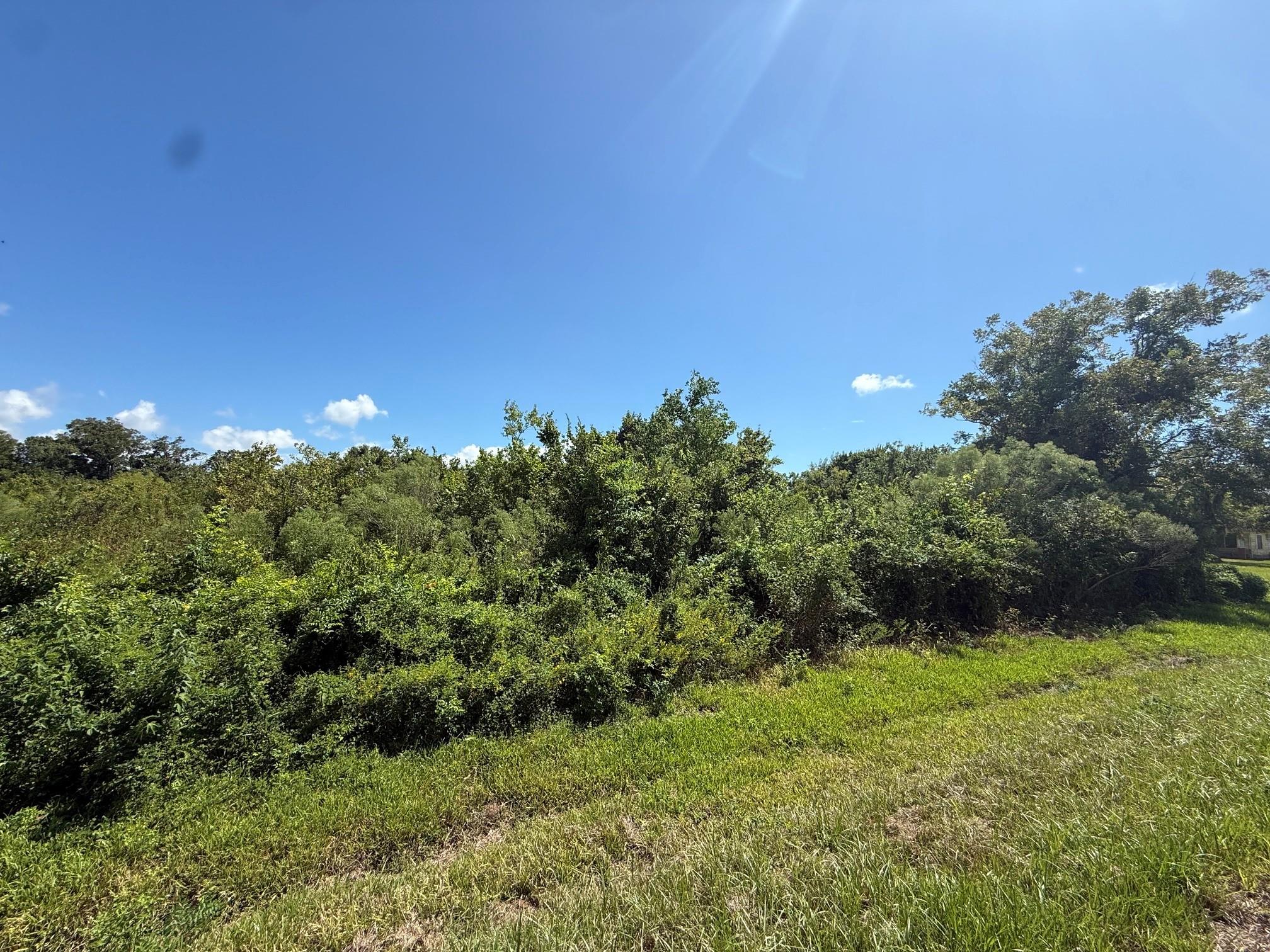 2 Cr-316, Brazoria Tx 77422 Property Photo 4
