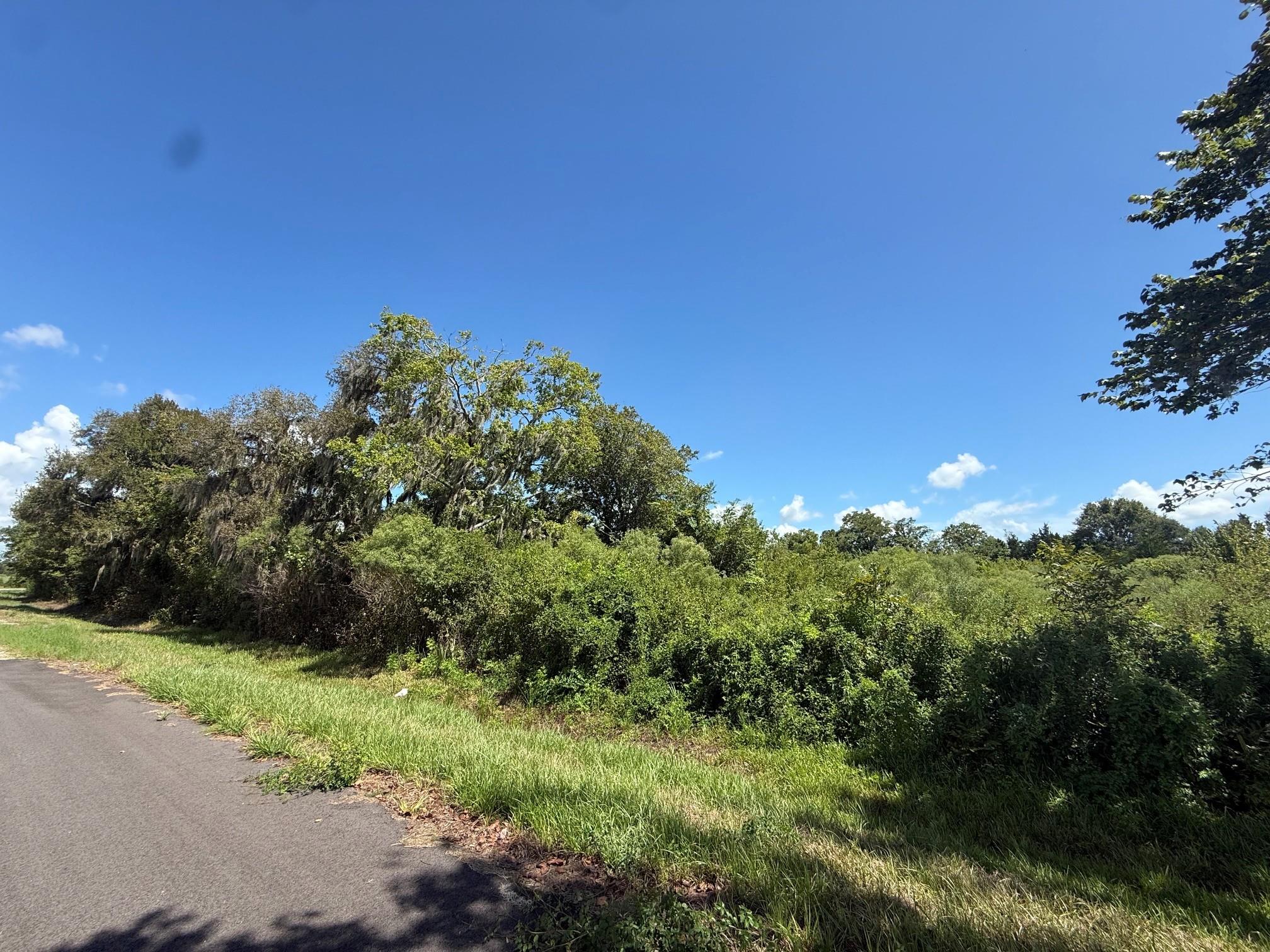 2 Cr-316, Brazoria Tx 77422 Property Photo 5