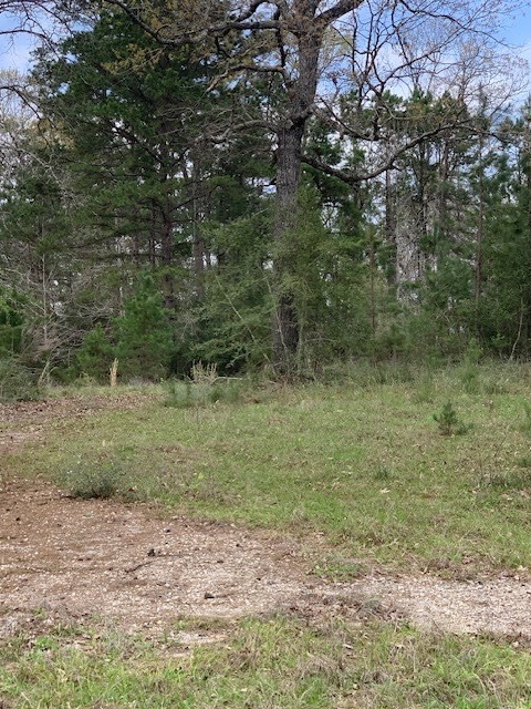9470 Us 96 S Hwy 96 Property Photo 2