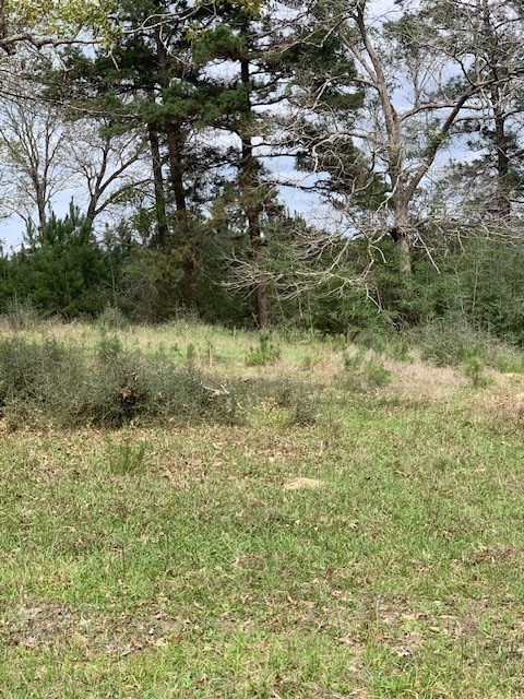 9470 Us 96 S Hwy 96 Property Photo 4