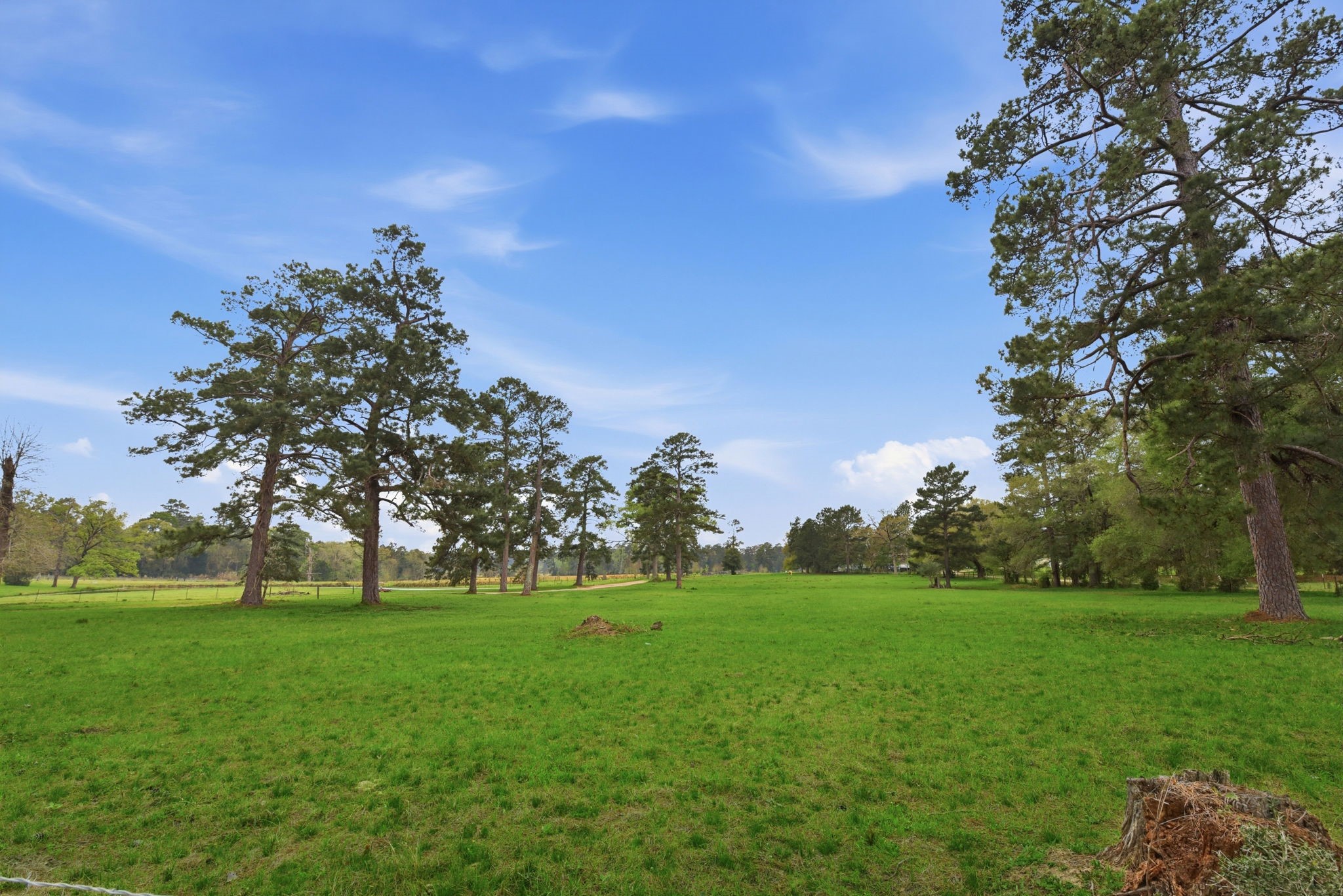 882 Four Notch Road Property Photo 7
