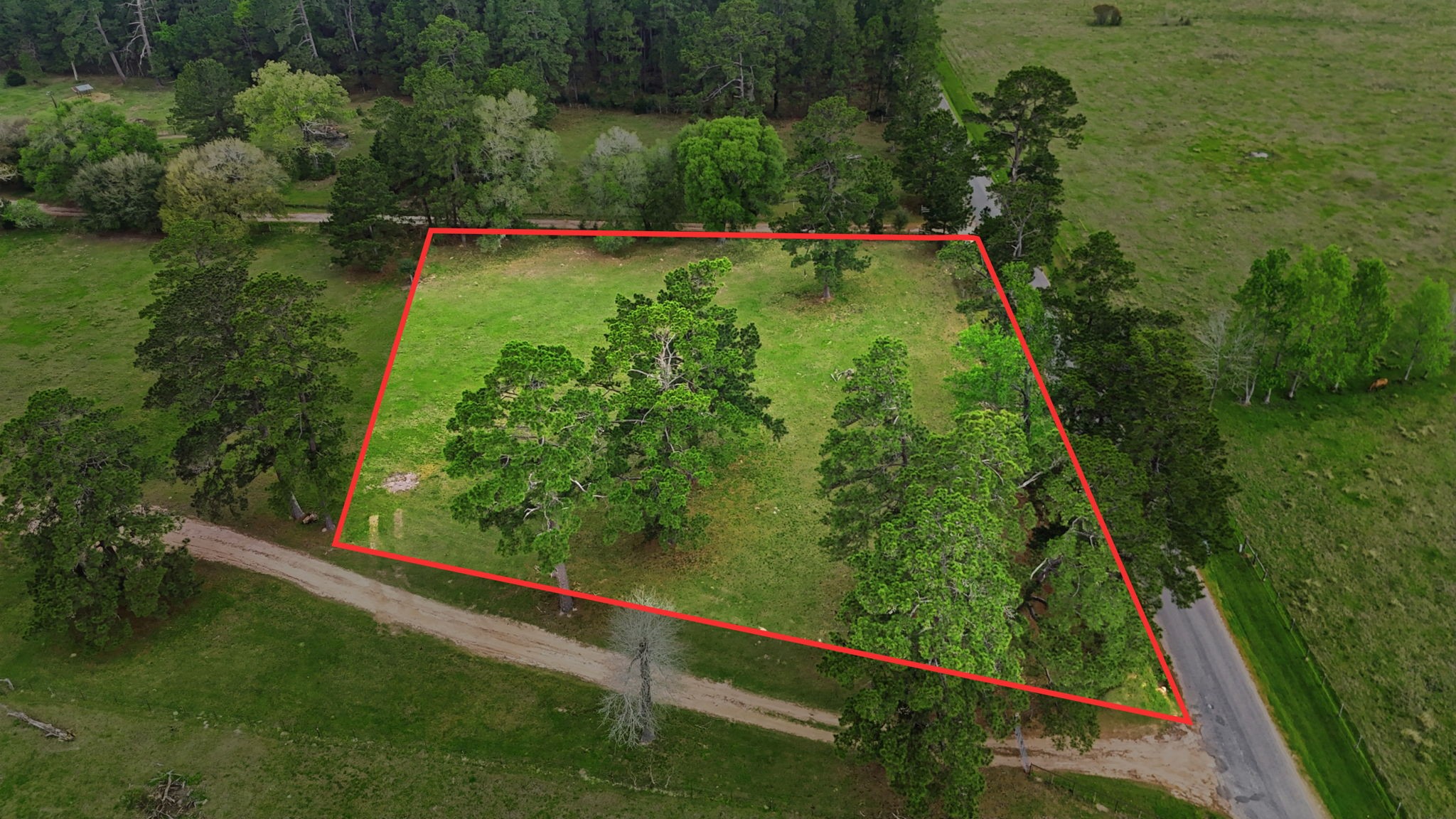 882 Four Notch Road Property Photo 17
