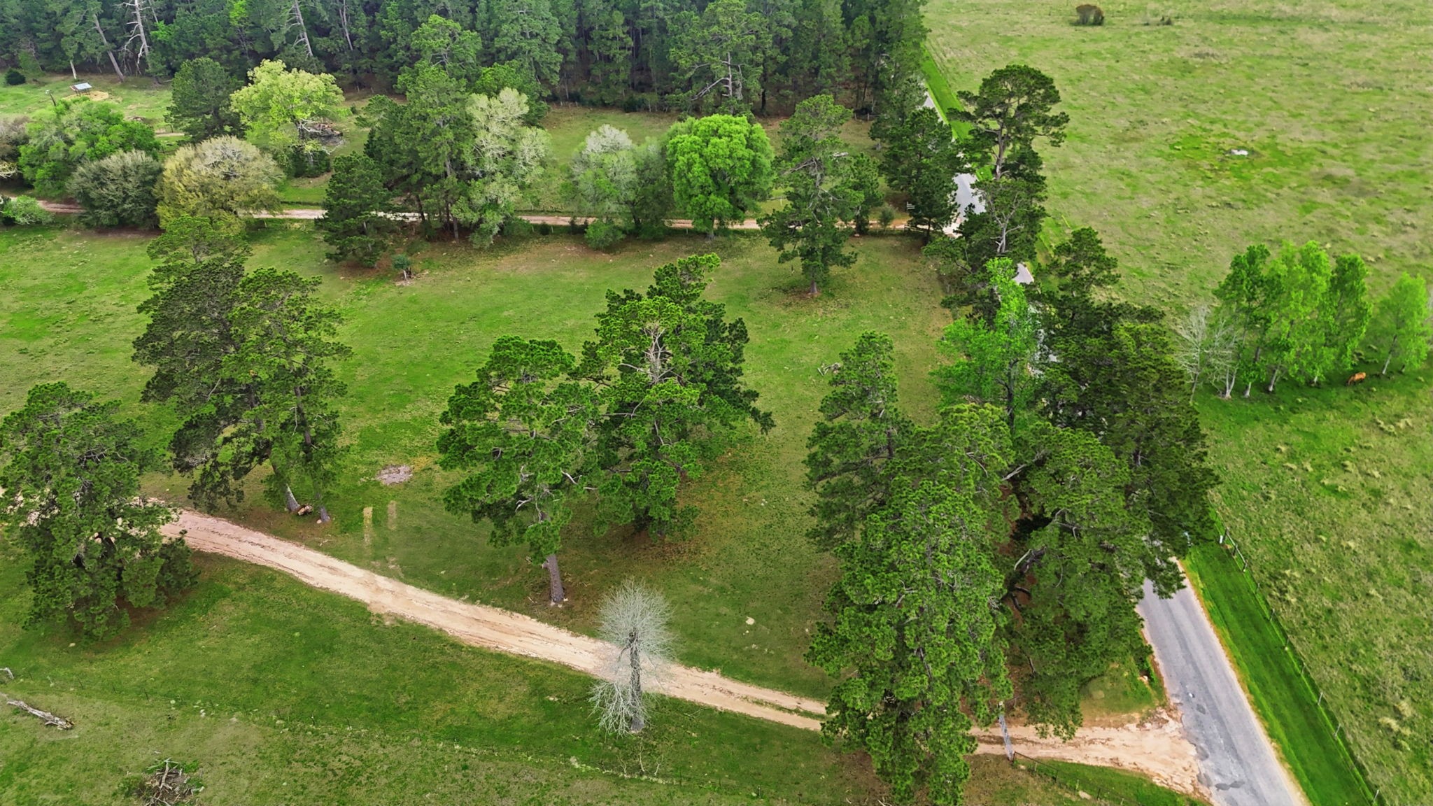 882 Four Notch Road Property Photo 18