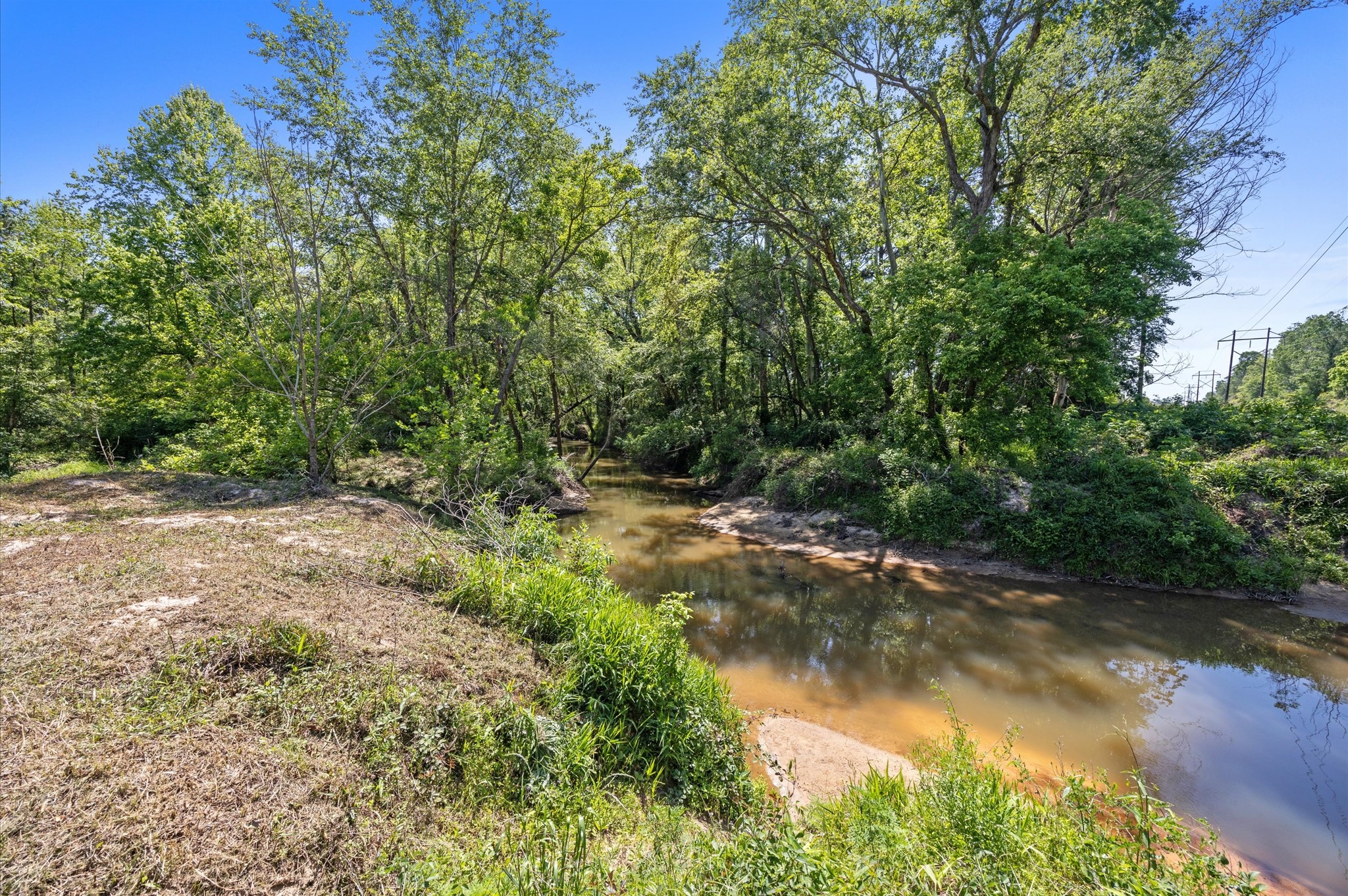4804 Crockett Martin Road Property Photo 2