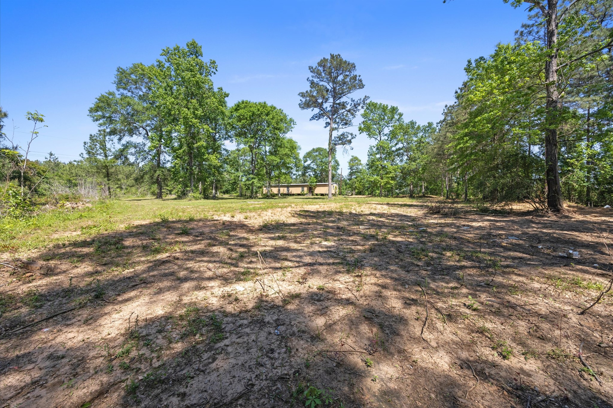 4804 Crockett Martin Road Property Photo 5