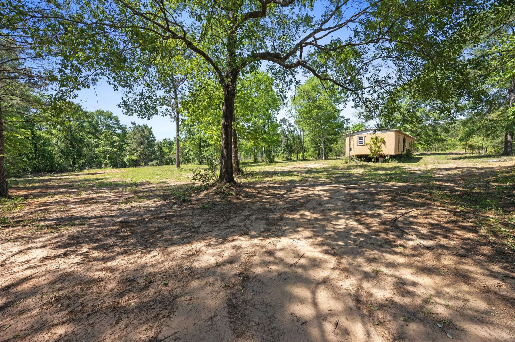 4804 Crockett Martin Road Property Photo 6