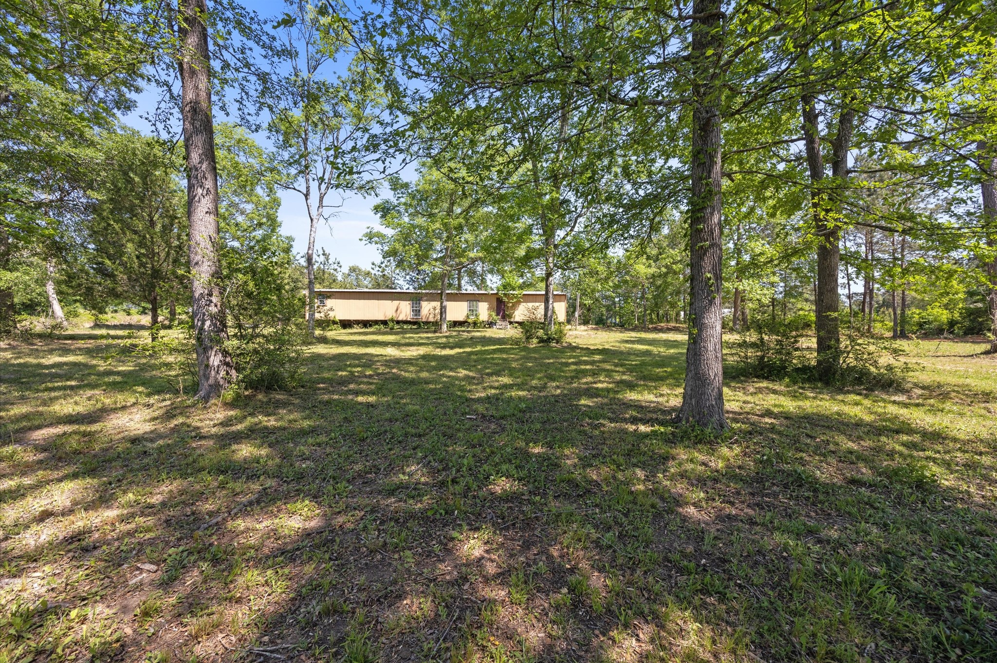 4804 Crockett Martin Road Property Photo 10