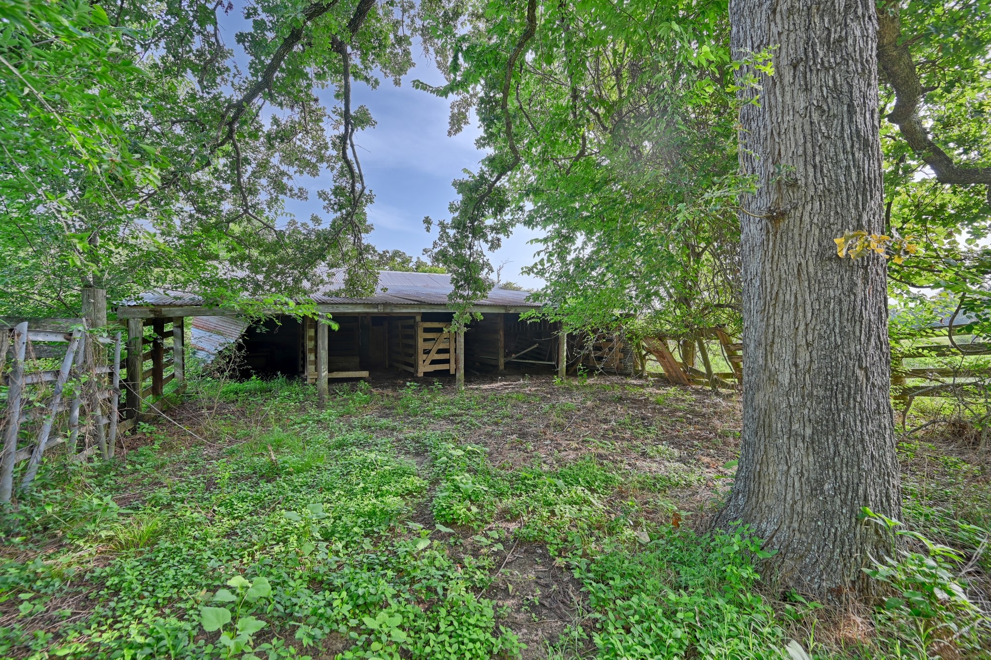 3146 Highway 36 N Property Photo 14