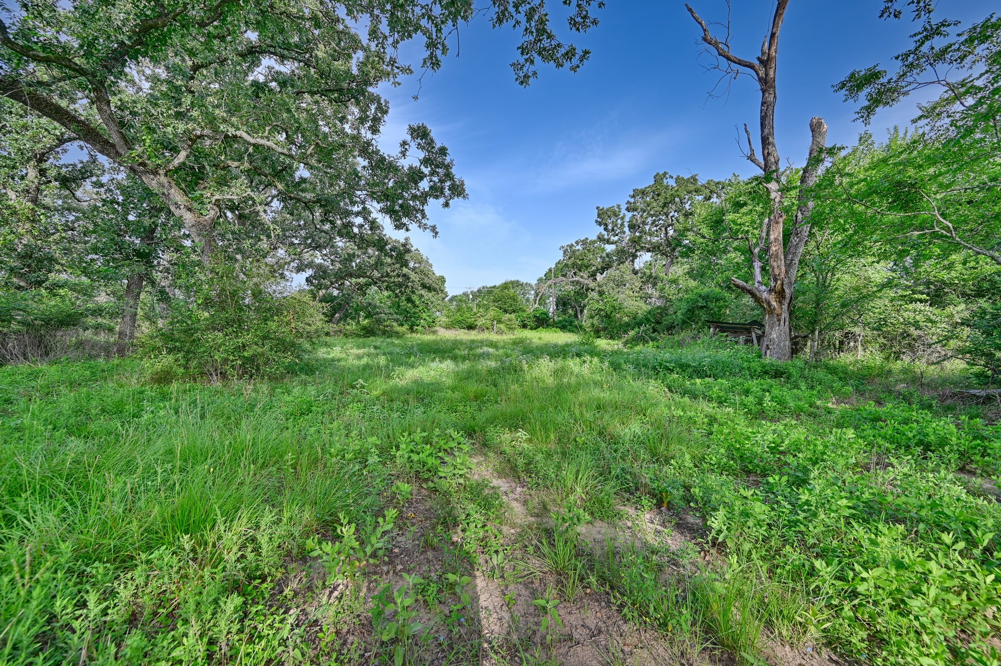 3146 Highway 36 N Property Photo 15