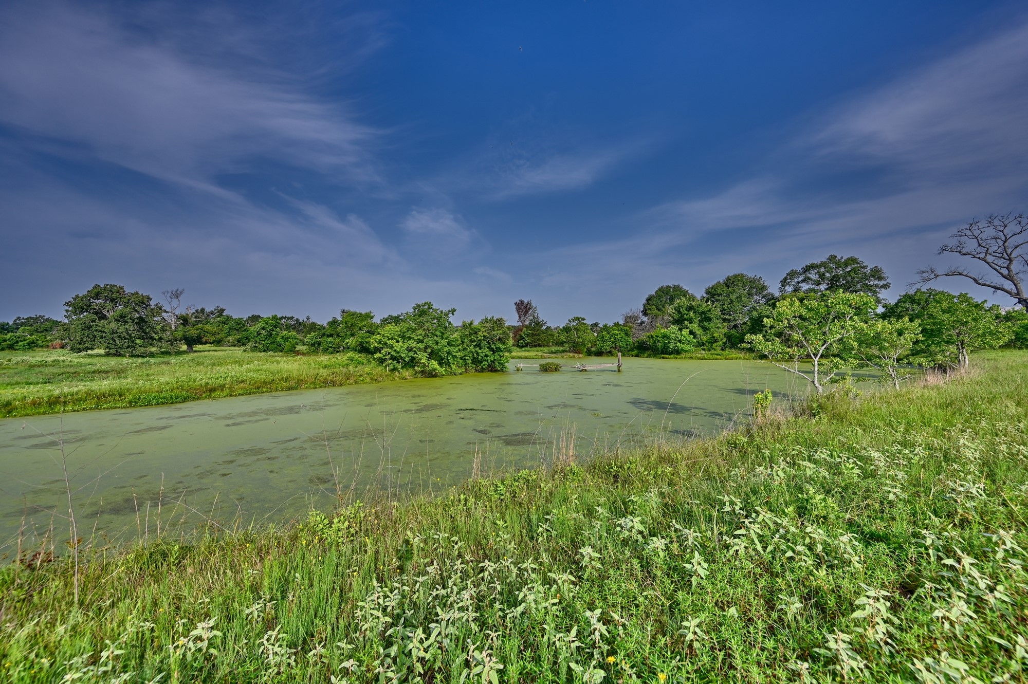 3146 Highway 36 N Property Photo 16