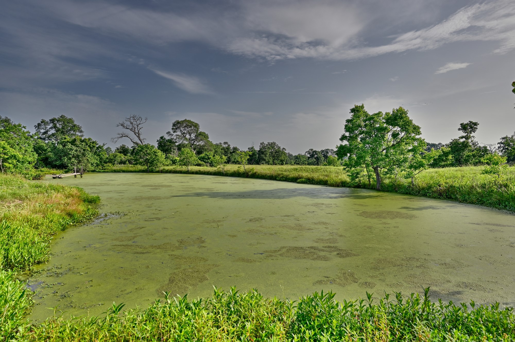 3146 Highway 36 N Property Photo 17