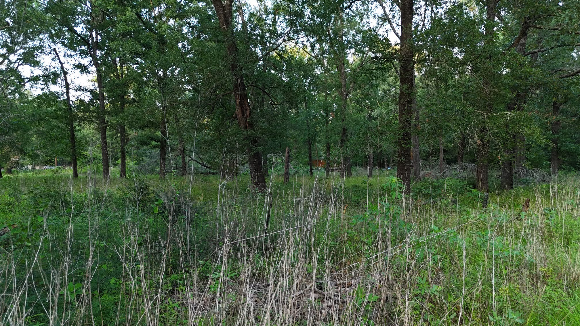 O Panther Lane Property Photo 2