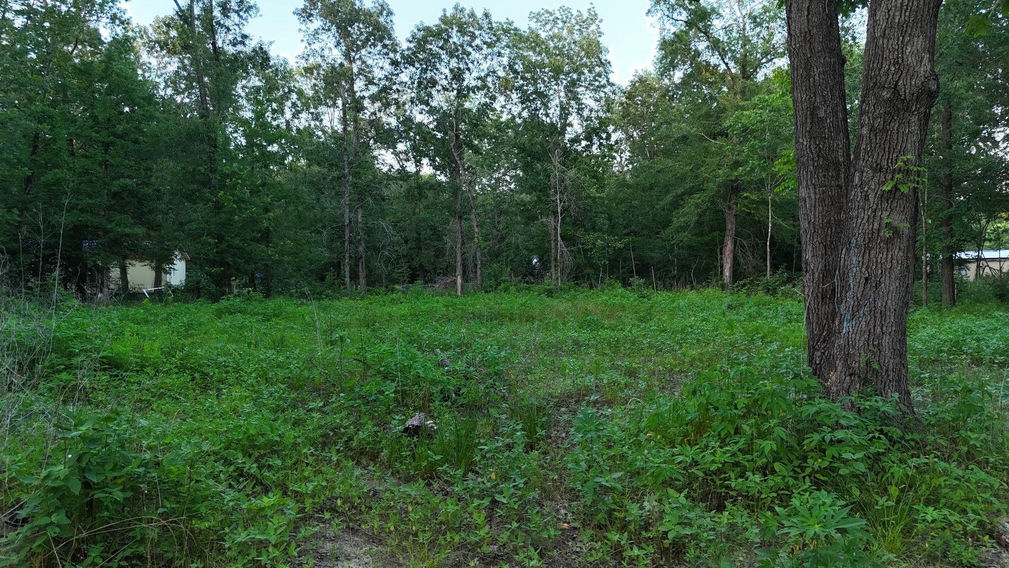 O Panther Lane Property Photo 3