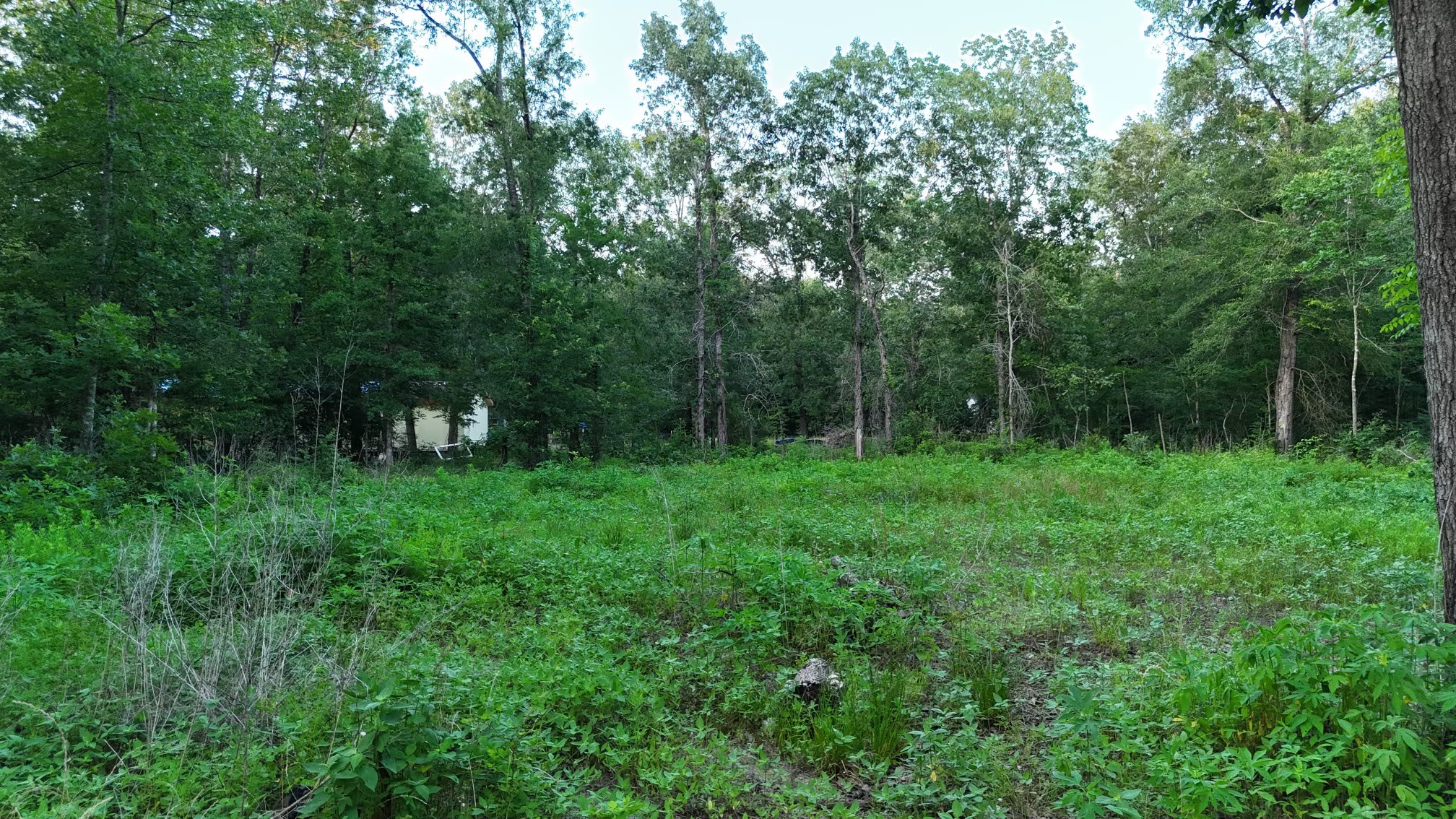 O Panther Lane Property Photo 4