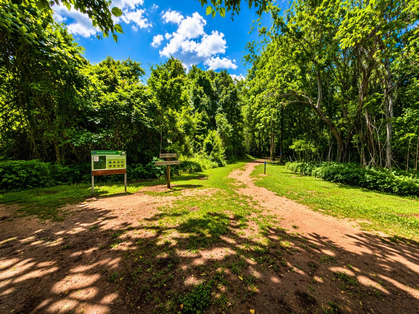 16826 Cobble Ridge Drive Property Photo 45