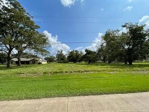317 Wagon Wheel Trail Property Photo