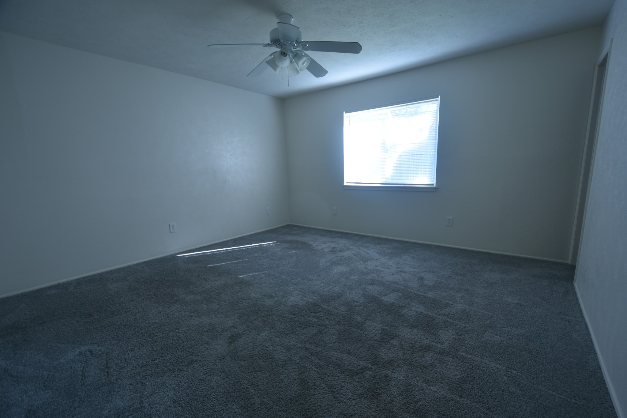 24215 Beef Canyon Drive Property Photo 18