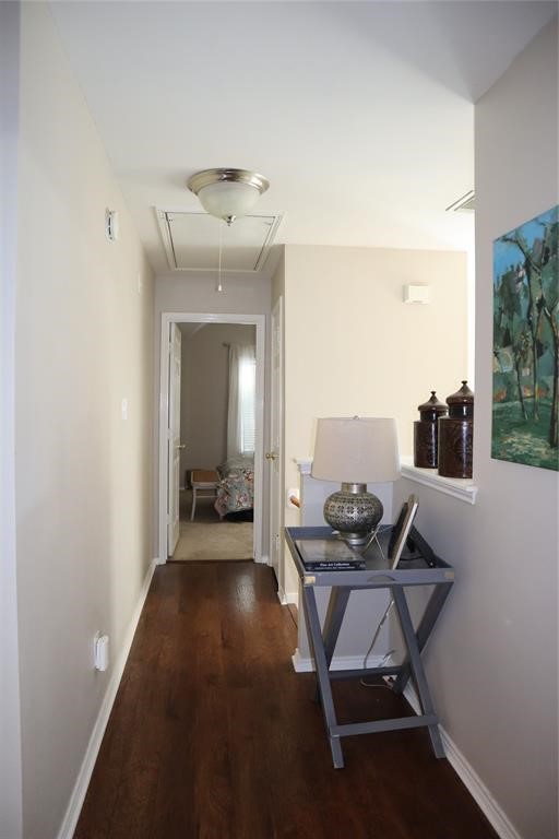 10 Butterfly Branch Place Property Photo 15