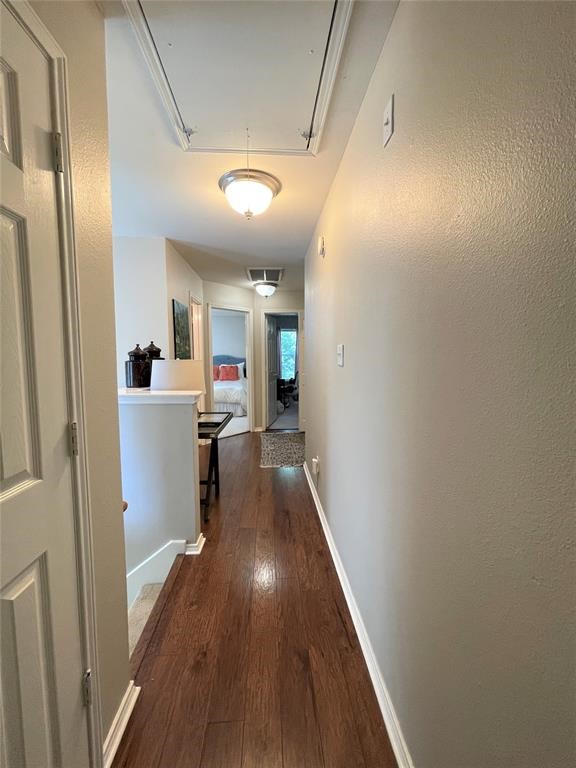 10 Butterfly Branch Place Property Photo 16