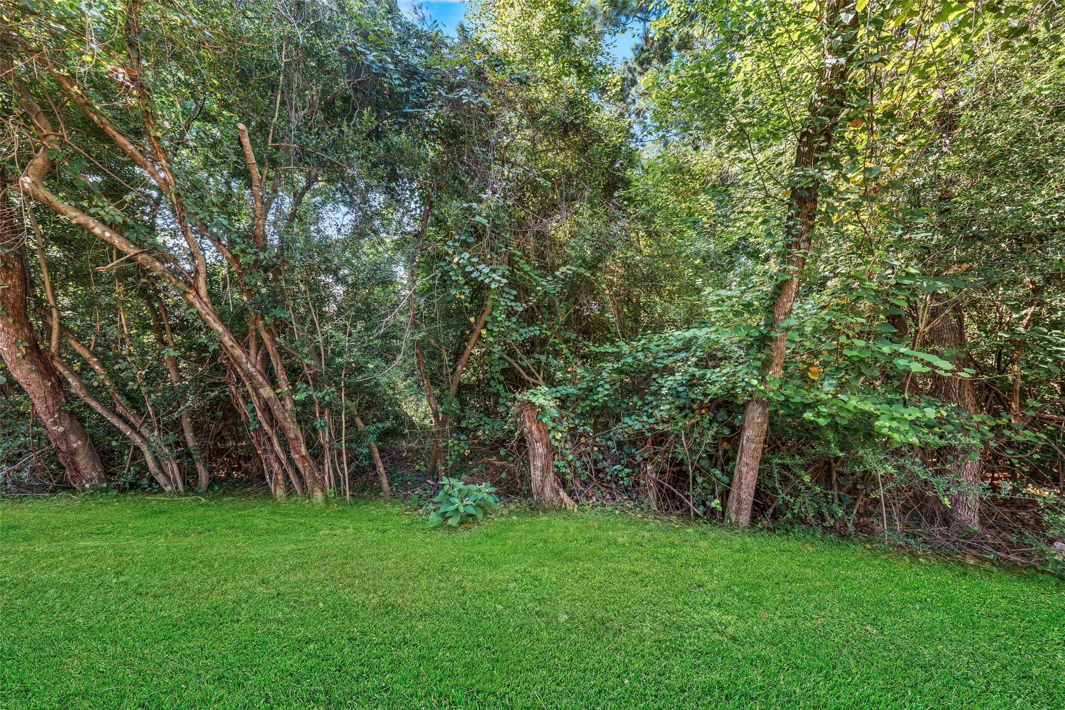 13422 Yaupon Holly Lane Property Photo 34