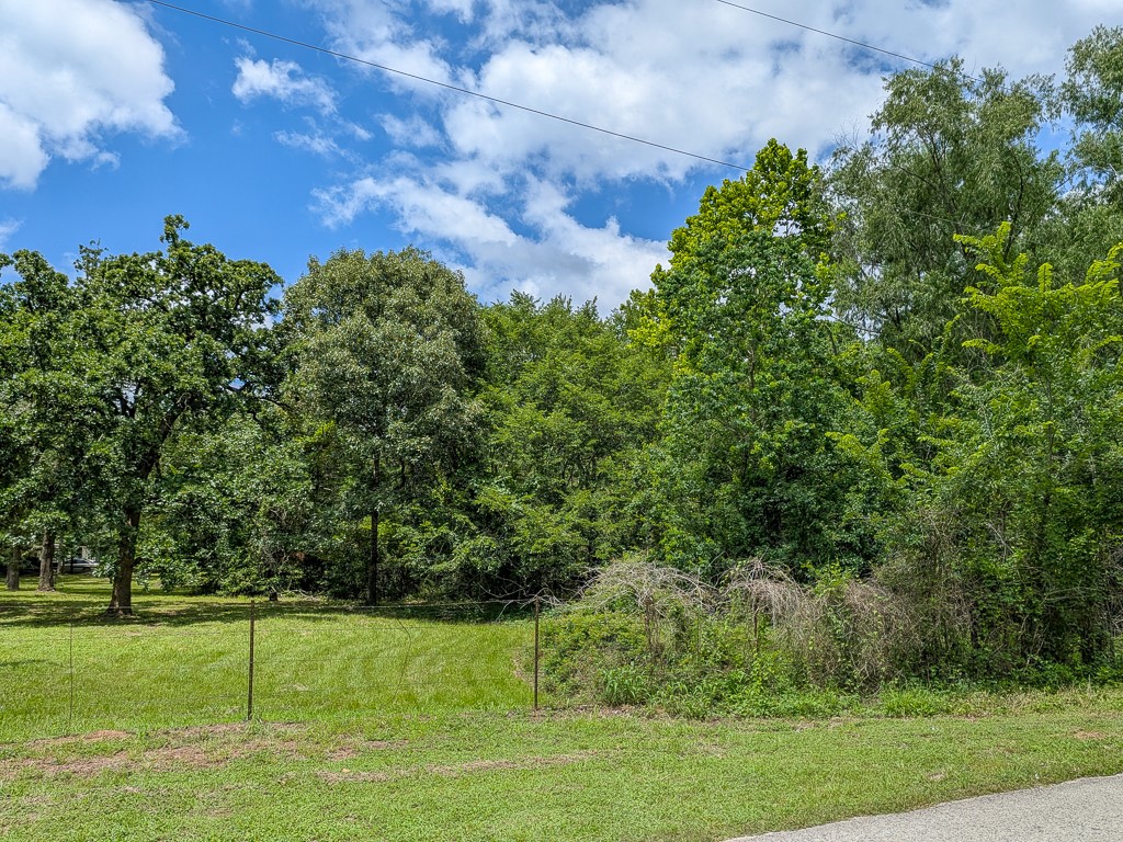 Tract 19 County Road 302 Property Photo 1