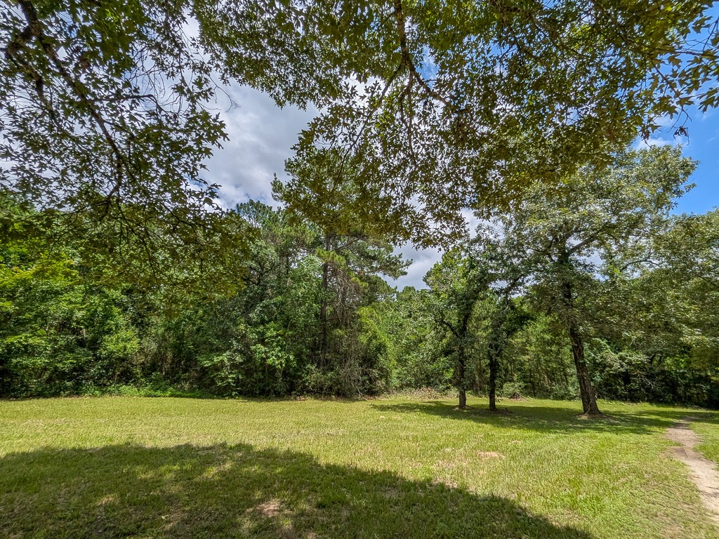Tract 19 County Road 302 Property Photo 4