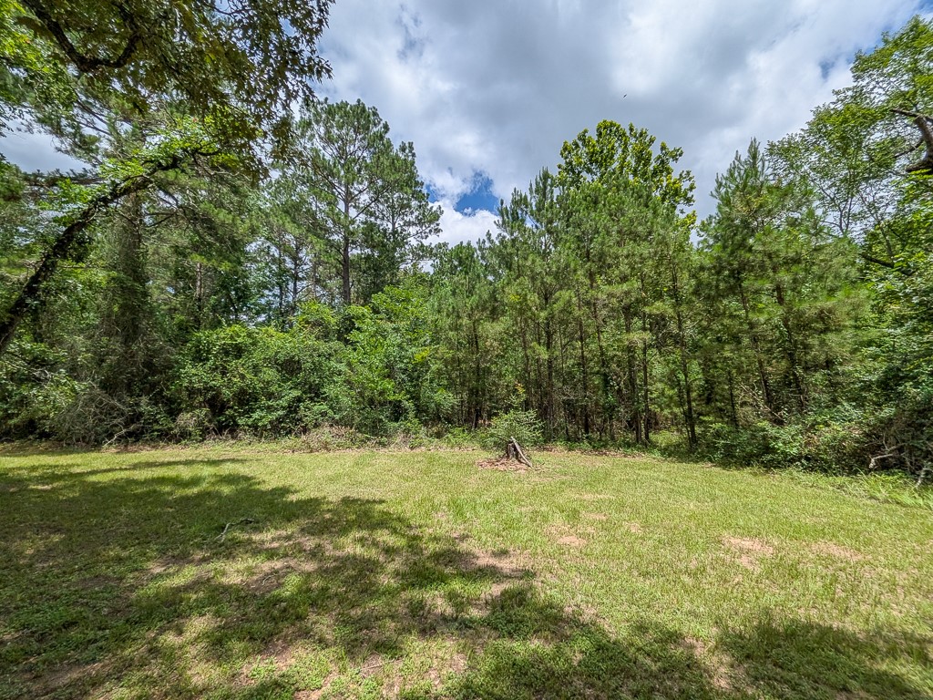 Tract 19 County Road 302 Property Photo 5
