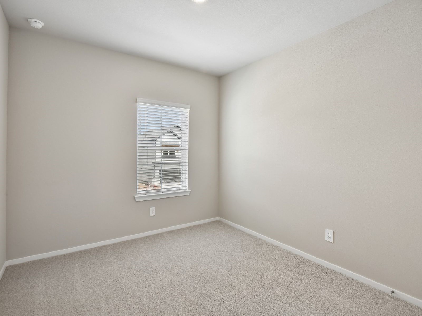 1015 Cedar Place Lane Property Photo 8