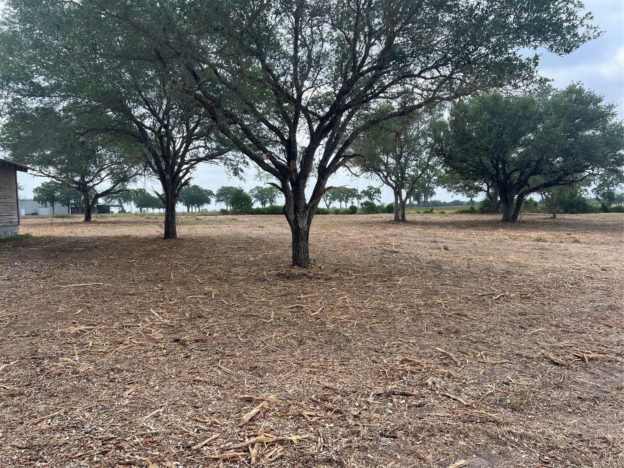 566 County Road 430 Property Photo 2