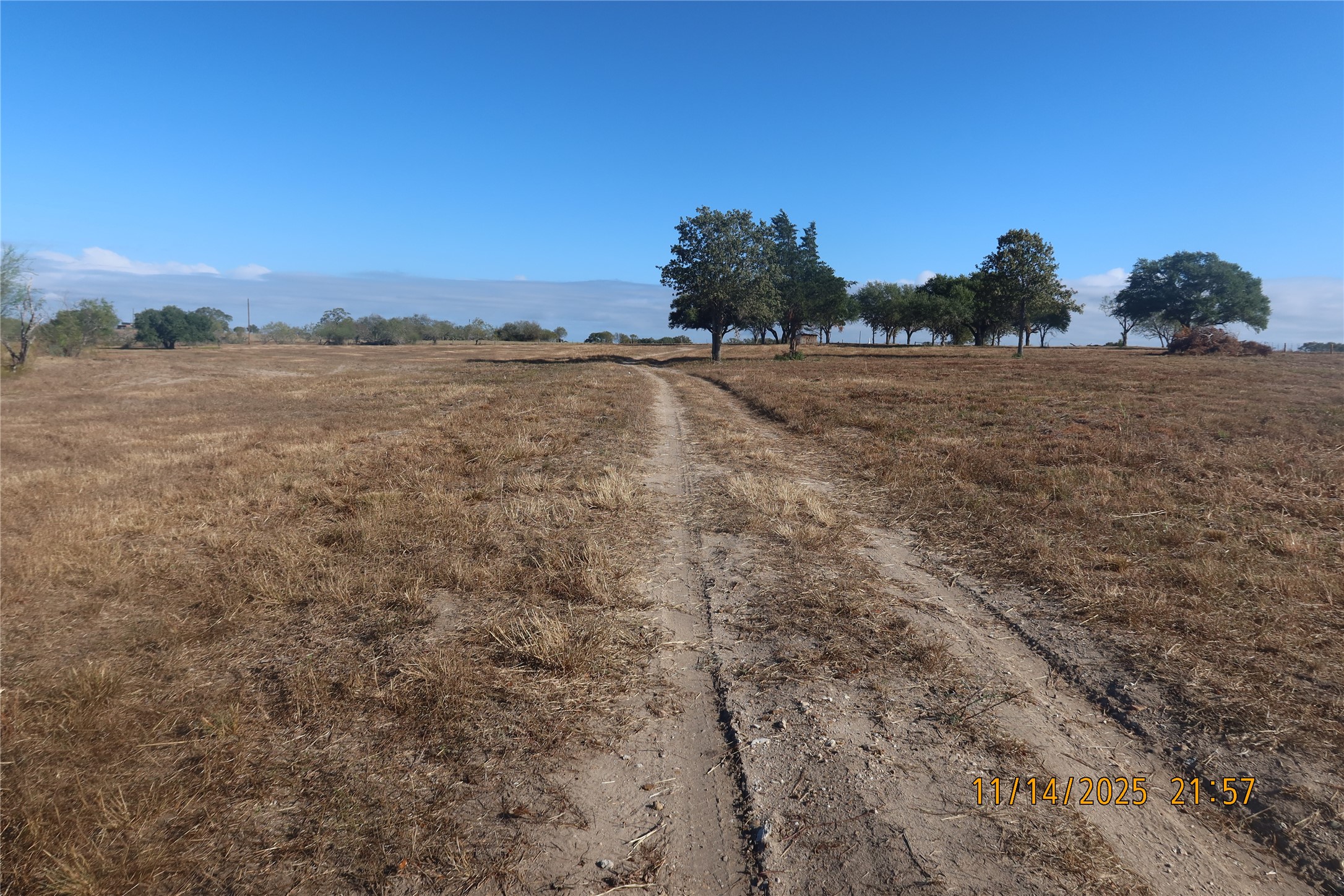 566 County Road 430 Property Photo 6