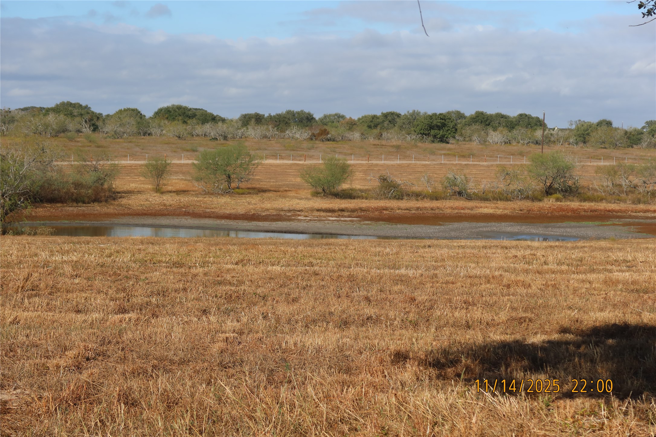 566 County Road 430 Property Photo 13