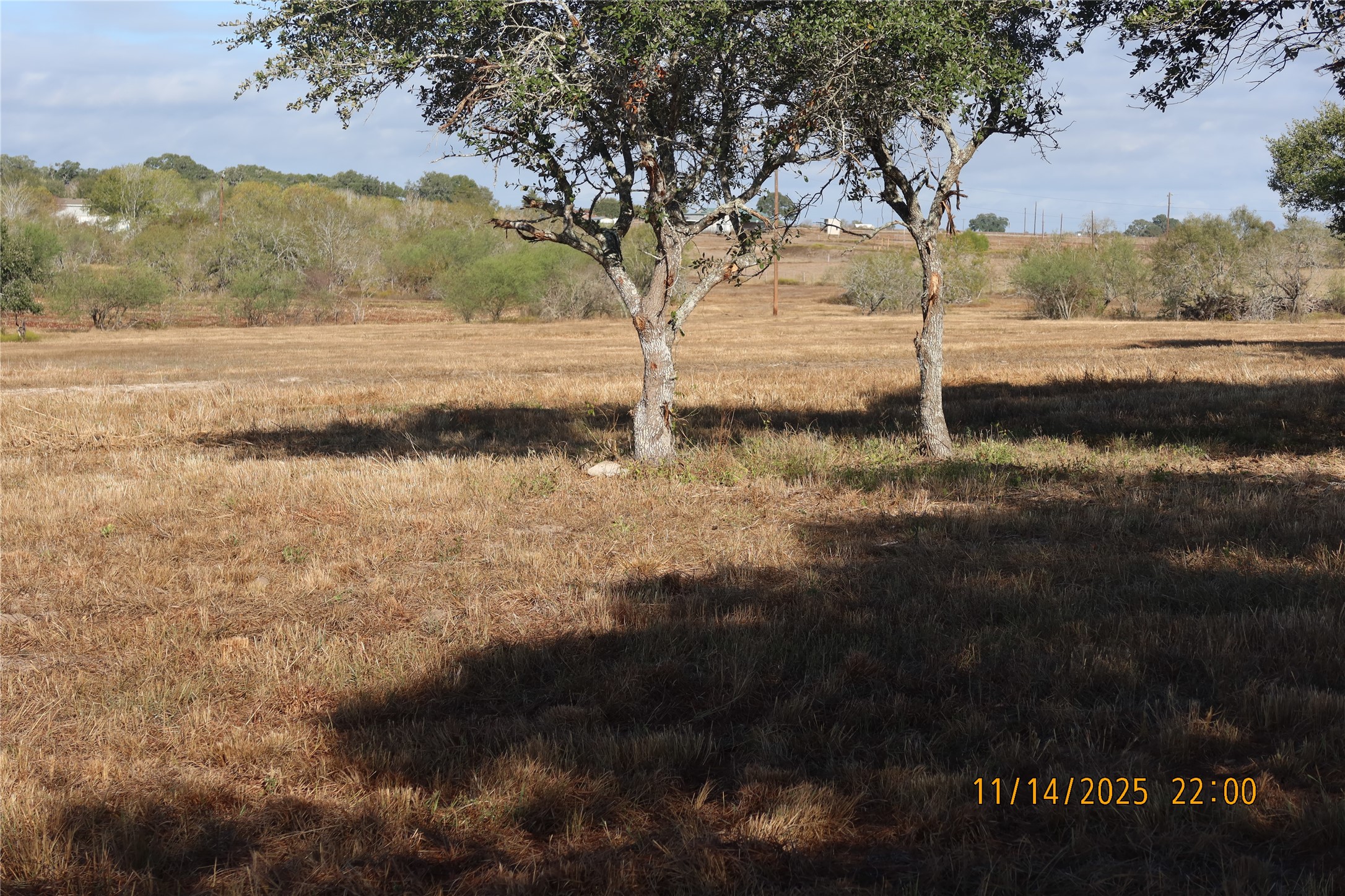 566 County Road 430 Property Photo 15