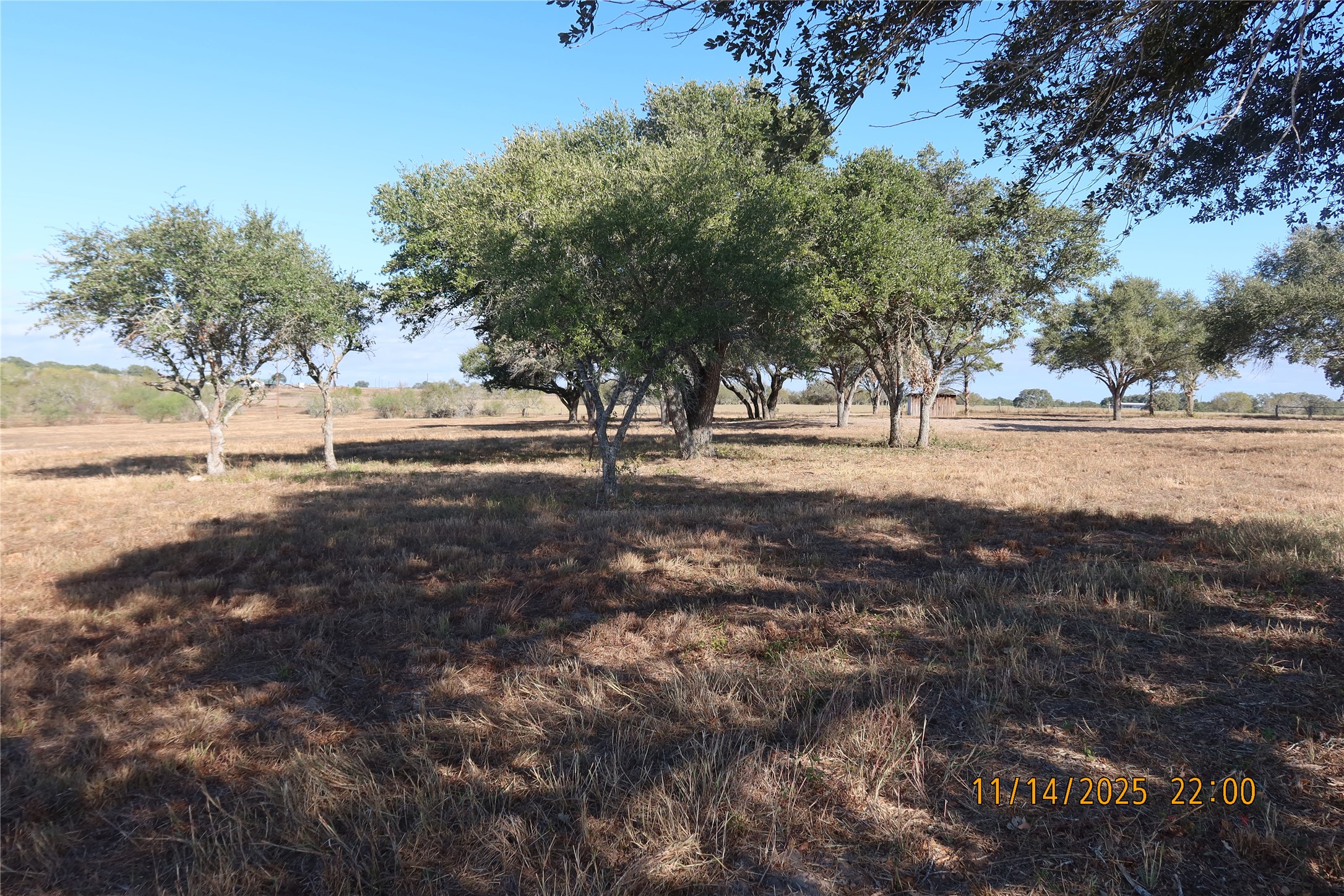 566 County Road 430 Property Photo 16
