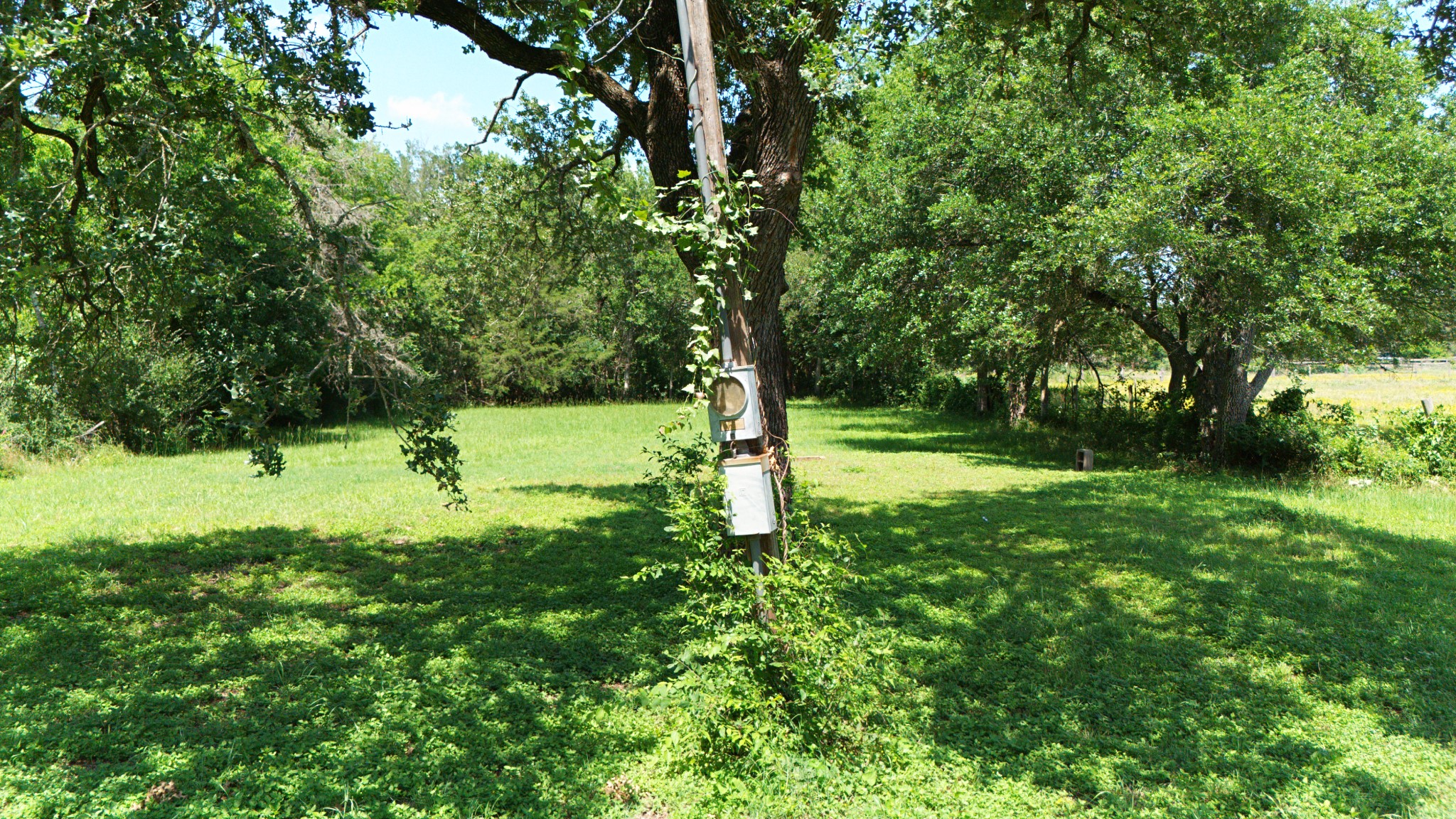 4211 Old Hearne Road Property Photo 13