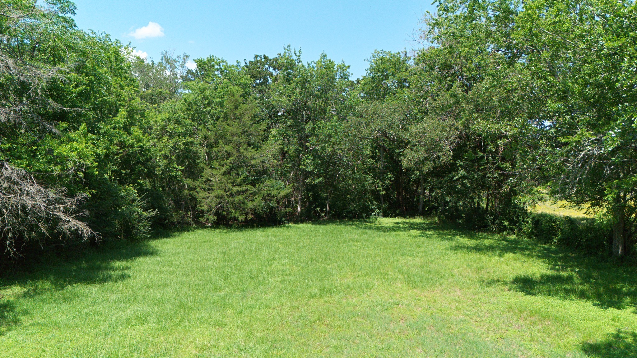 4211 Old Hearne Road Property Photo 15