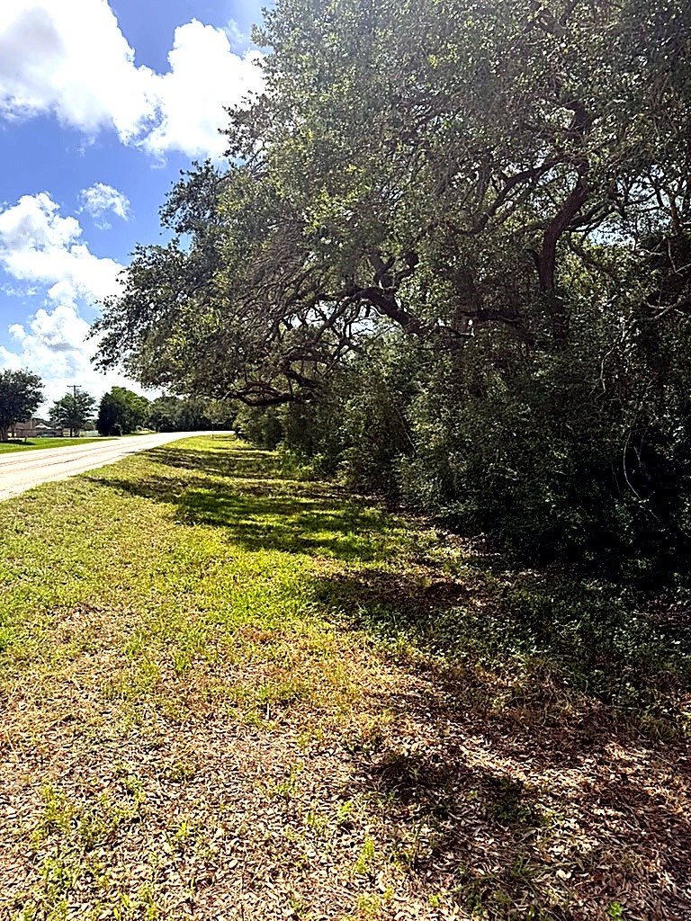 0 Fm 2853 Property Photo 1