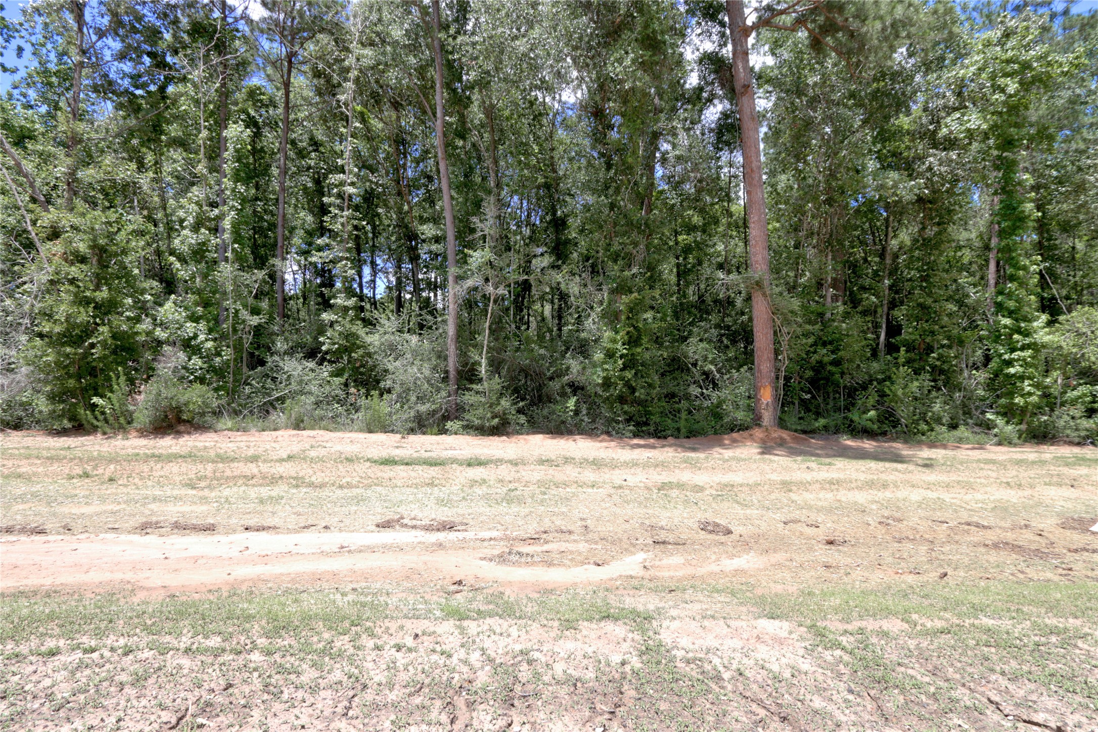 258 Heartland Road Property Photo 13