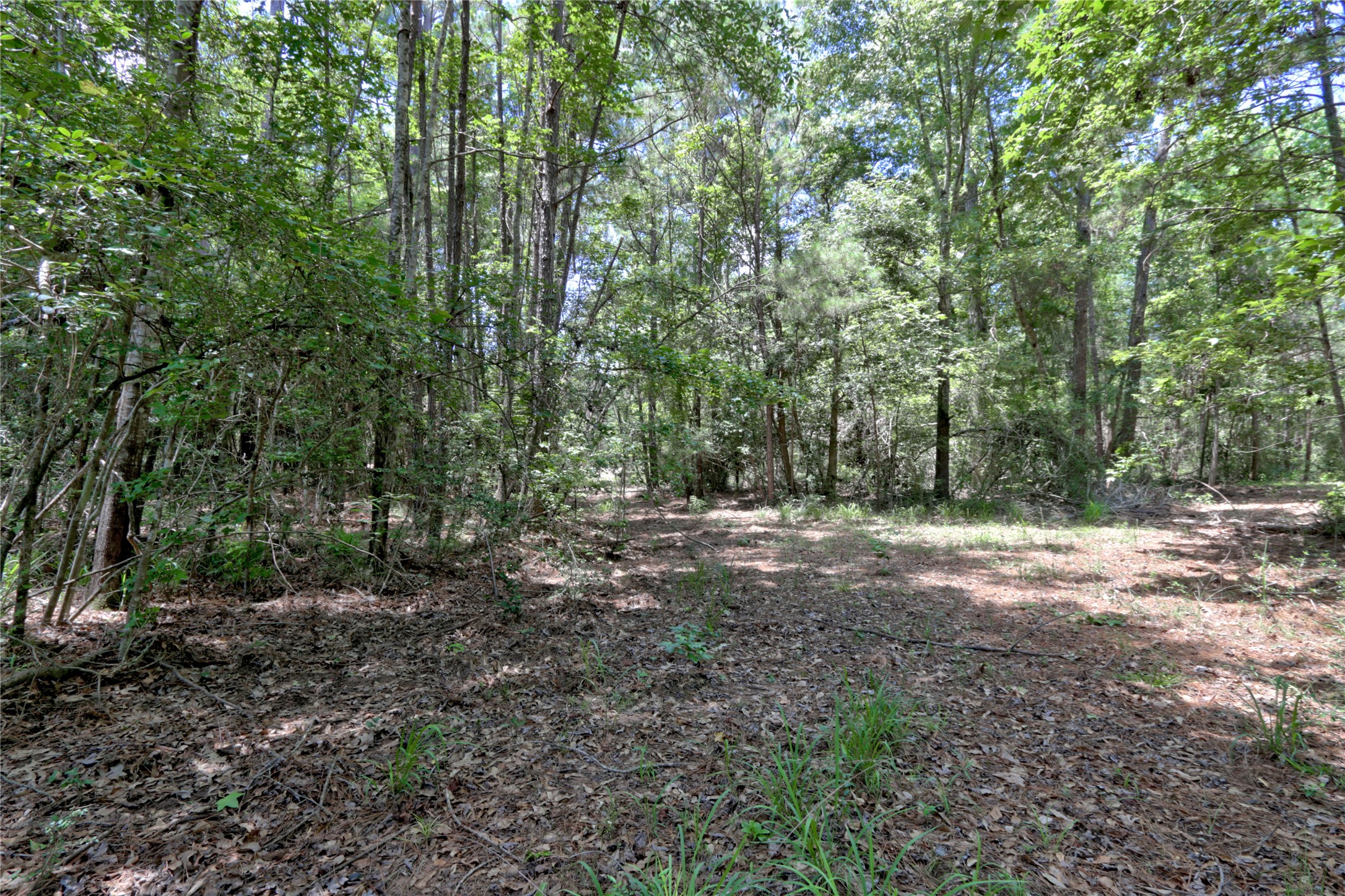 258 Heartland Road Property Photo 14