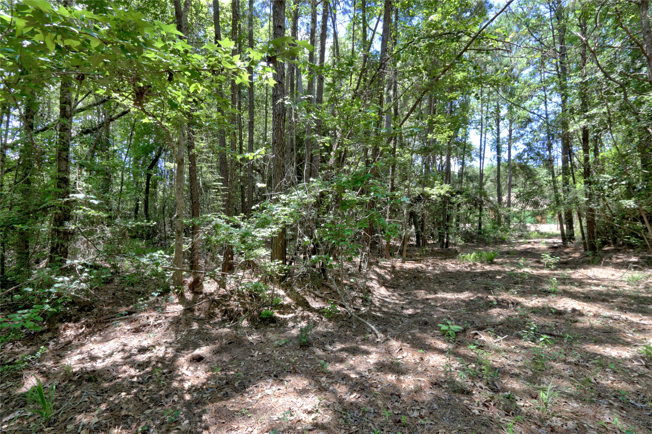 258 Heartland Road Property Photo 15
