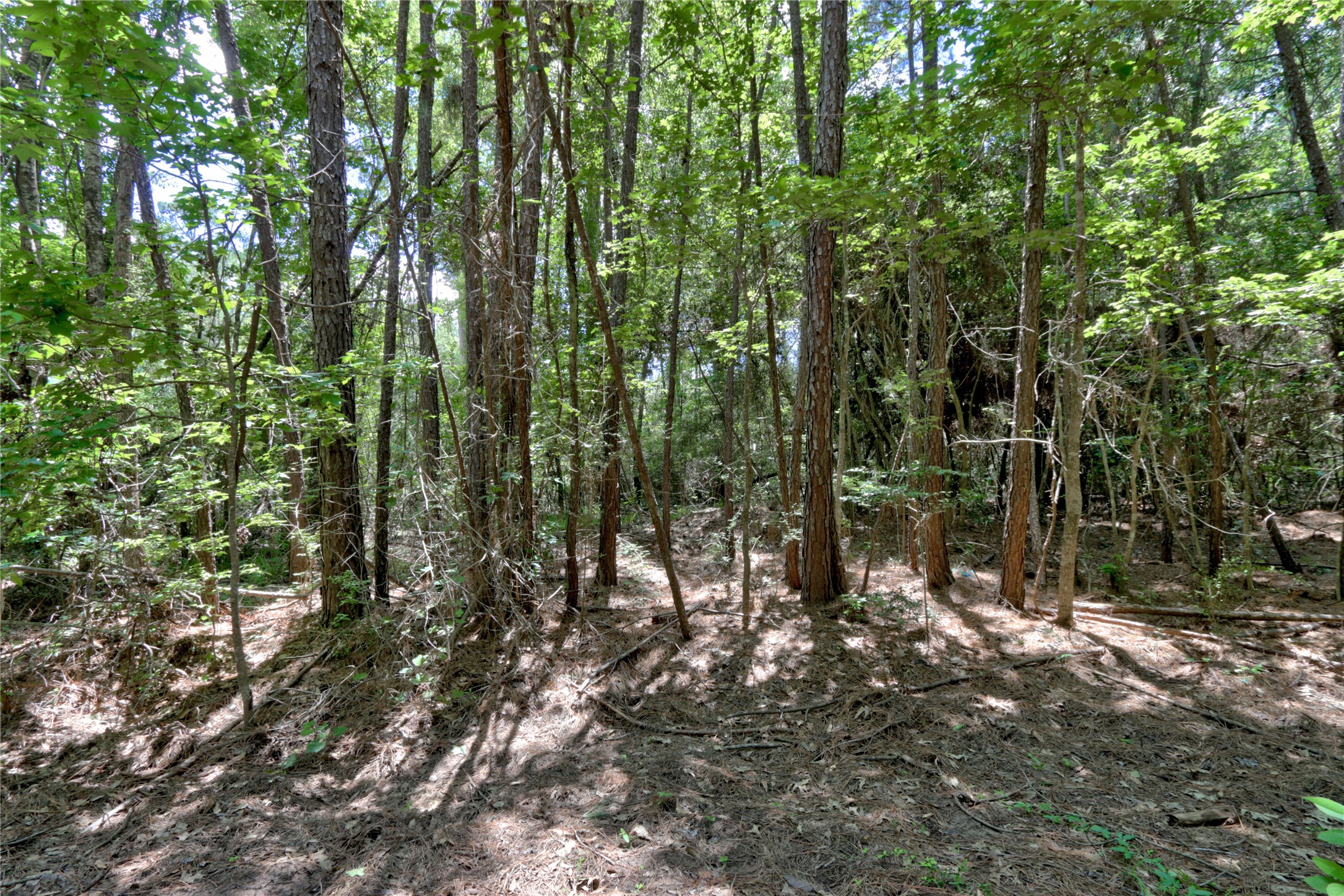 258 Heartland Road Property Photo 16